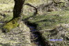 "Im Fl�stertal 1"