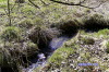 "Im Fl�stertal 2"