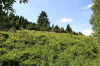 "Wacholderheide 2"