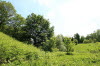 "Das Fl�stertal 2"