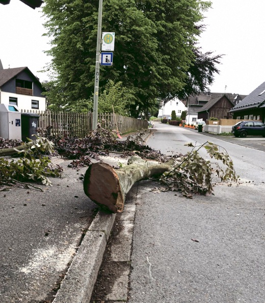 Bushaltestelle Wildberg Bushaltestelle Wildberg