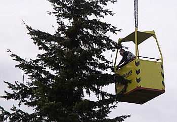 Weihnachtsbaum Kran 2 Weihnachtsbaum Kran 2