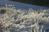 "Im Fl�stertal 1"