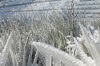 "Im Fl�stertal 2"