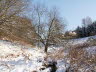 "Im Fl�stertal 4"