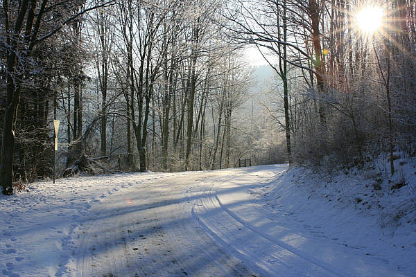 winter1 600